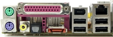 Rear of case