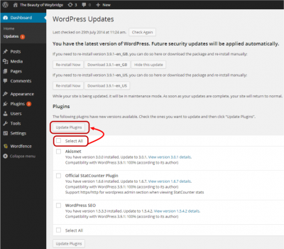 update all plugins